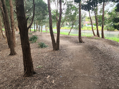 Mini Mountain bike Trail