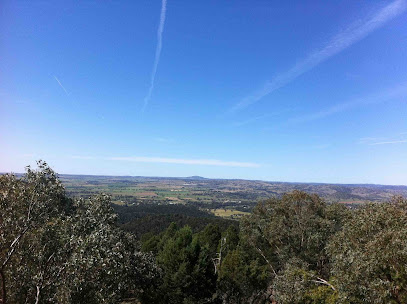 Regional NSW Cardiothoracic Surgical Service - Dr Jon Ryan, Sydney