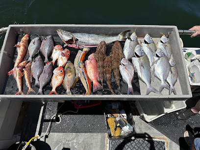 Deep Blue Charters Australia - Deep Sea Fishing Charters Sydney