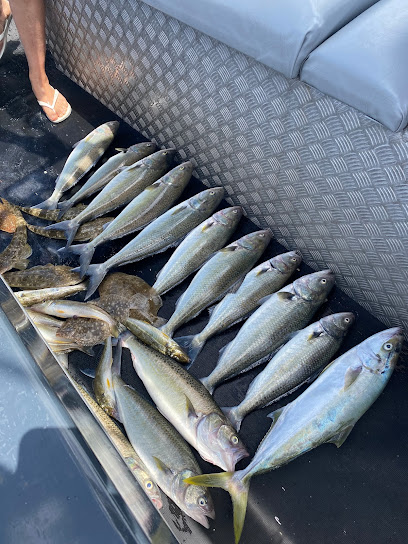 Southern Sydney Fishing Tours