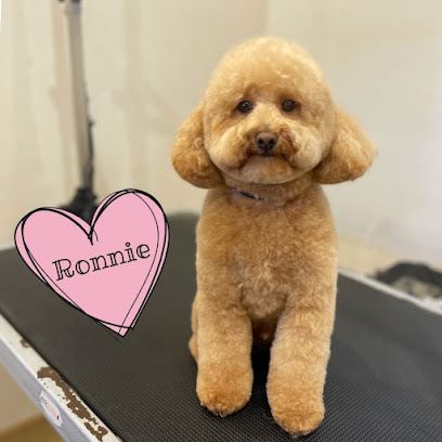 Bath to Bow Dog Groomer, Sydney