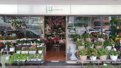 Lush Flower Co