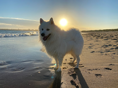 Greenhills Beach Dog Off Lead, Sydney