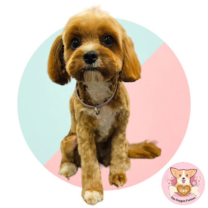 The Doggos Parlour Grooming & Day Care, Sydney