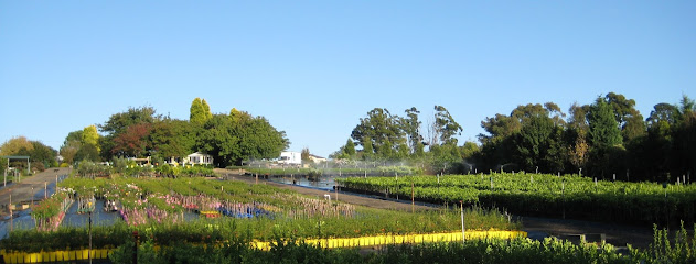 Engall's Nursery, Sydney
