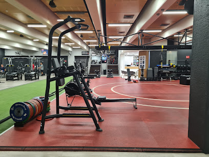 Fitness First George Street Platinum, Sydney