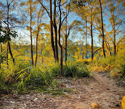 Hornsby Mountain Bike Trail