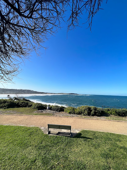 Dee Why Cliff Reserve