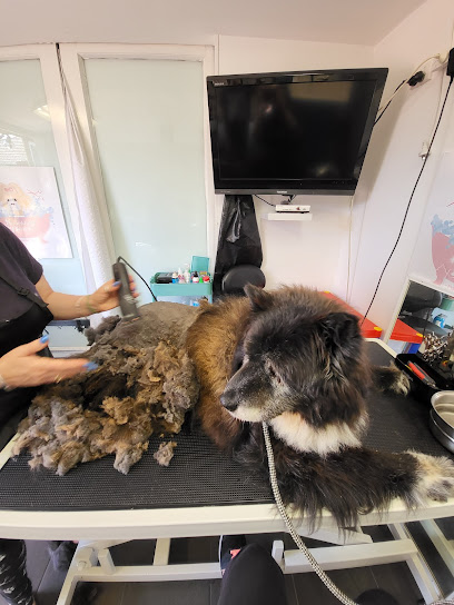 Sparkling Paws Dog Grooming, Sydney