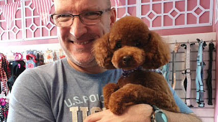 A‎ Dapper Dog Grooming Parlour, Sydney