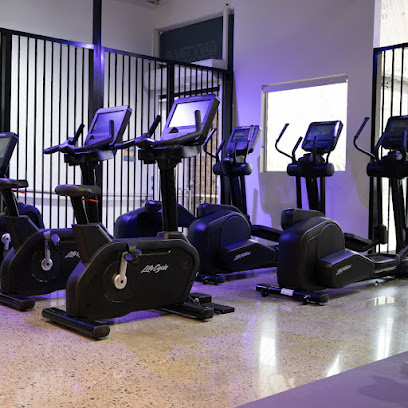 Anytime Fitness Narrabeen, Sydney