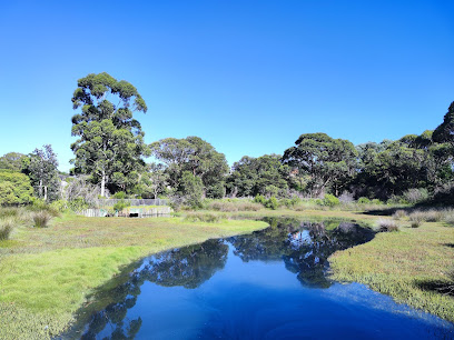 Federal Park Wetlands