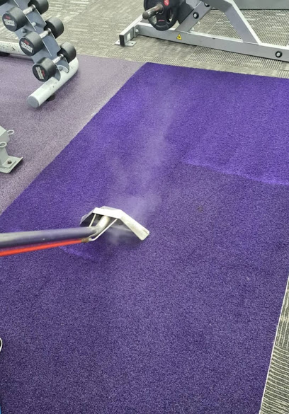 True Blue Carpet Cleaning