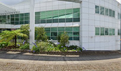 My Breast Surgery, Sydney