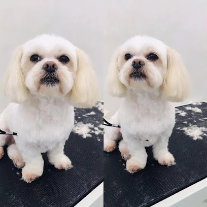Sunny Dogs Salon, Sydney