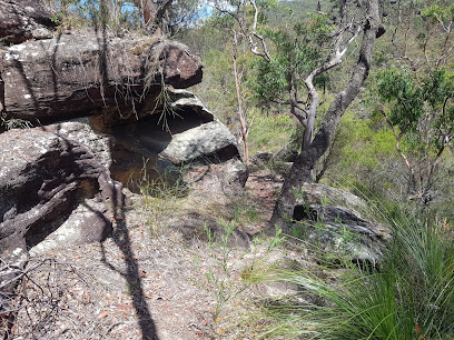 Warrimoo Track