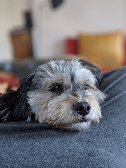 Pepper & Murphy's Dog Grooming Salon, Sydney
