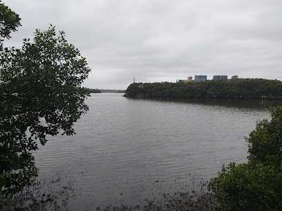 Rydalmere Bike Path