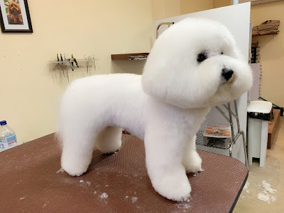 Newtown Sakura la Dog Grooming Salon, Sydney