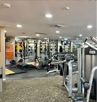 Anytime Fitness Manly, Sydney