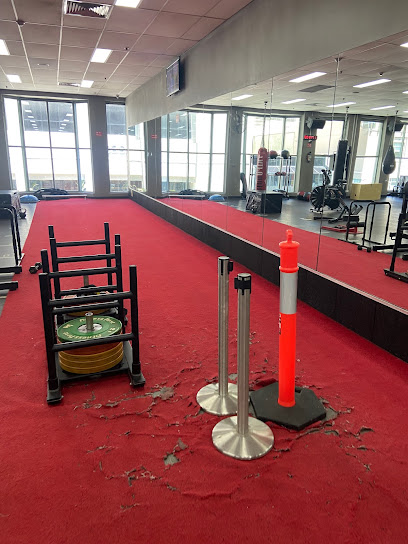 Fitness First Bondi Spring St Platinum, Sydney