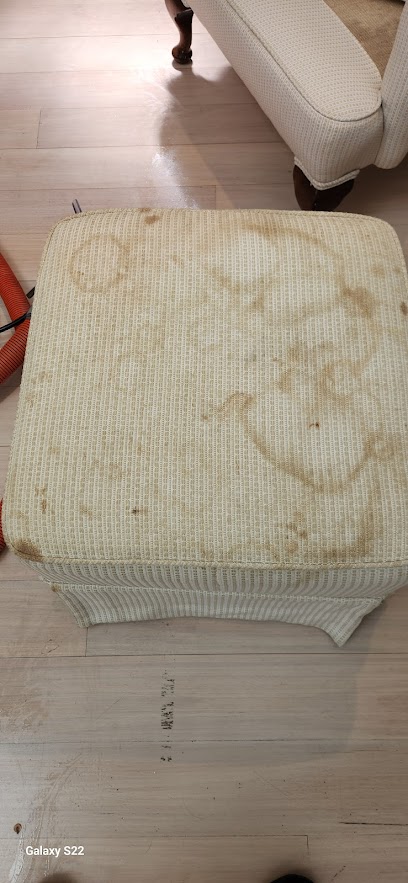 Everdry carpet cleaning