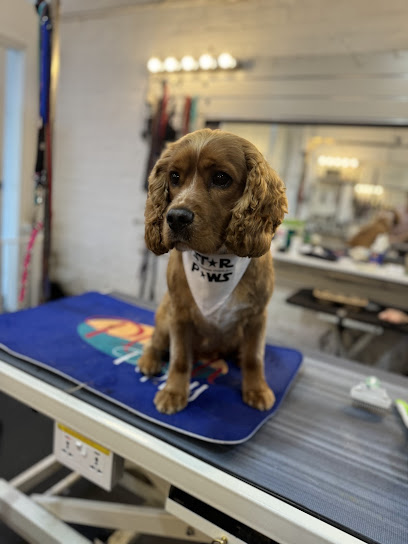 Star Paws Grooming Studio, Sydney