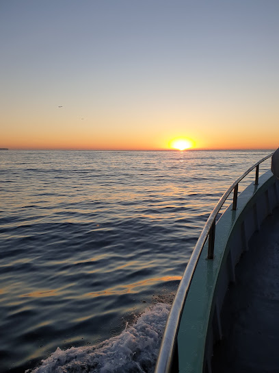 Bravo Fishing-Fishing Charter Trip Deep Sea Fishing Sydney