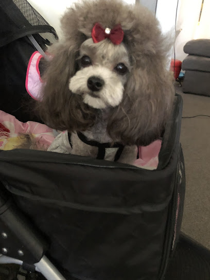 Woof Woof Studio Dog Grooming, Sydney