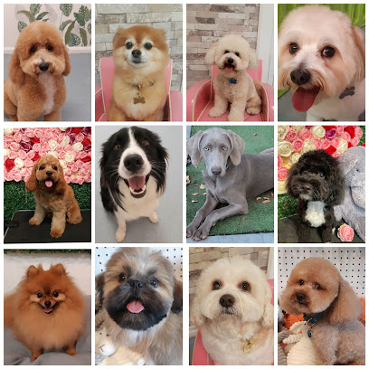 Puppy Square, Sydney