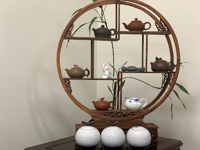 The Acupuncture Clinic