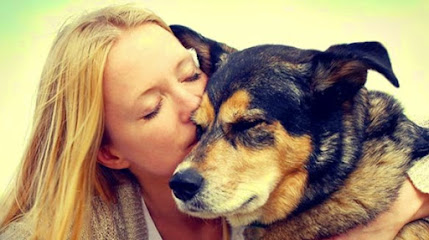 Sydney Dog and Cat Boarding - Luxury boarding kennels sydney