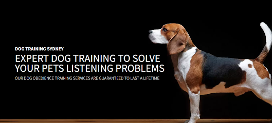 Pets Training & Boarding | Sydney's Premier Pet Boarding Retreat