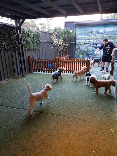 Spoilt Rotten Dogs