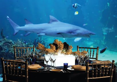 Merlin Events Sydney