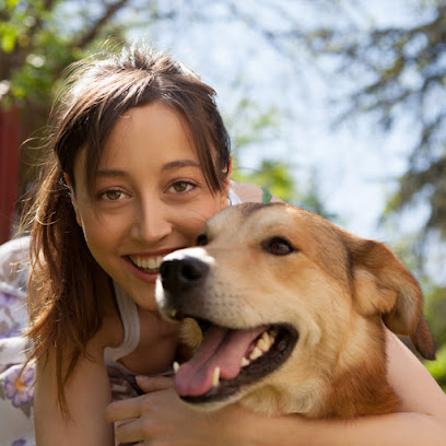 Pawshake | Sydney Pet Sitting, Dog Sitting and Dog Boarding