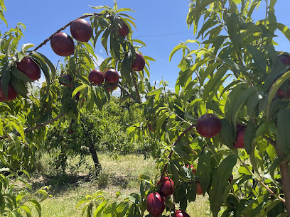 Canoelands Orchard