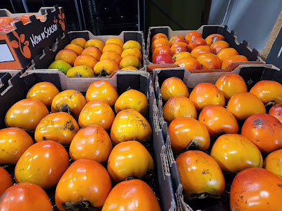 The Persimmon Place