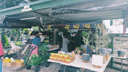 Dural Kiosk