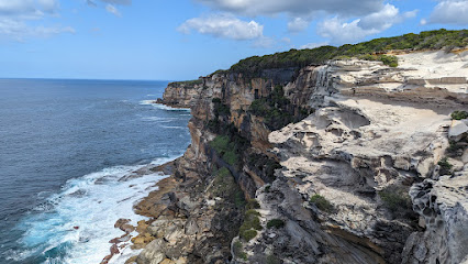The Coast track