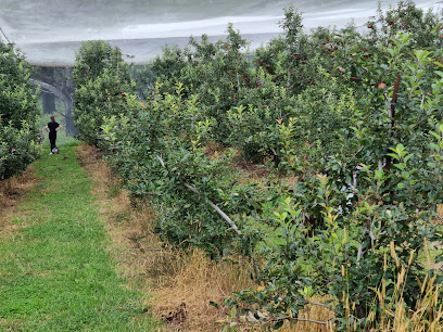 Pine Crest Orchard