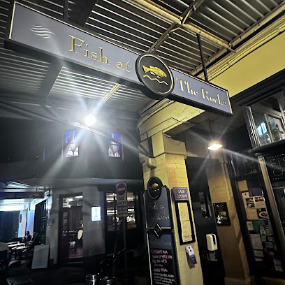 Fish at The Rocks
