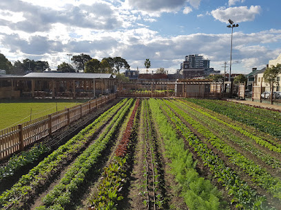 Pocket City Farms
