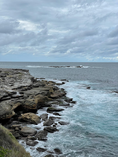 South Coogee Wetlands