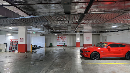 Gem Premium Hand Car Wash Mascot